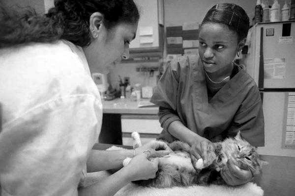 Иллюстрация к книге — Психология подросткового и юношеского возраста [autogen_ebook_id168.jpg]