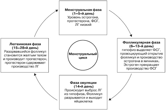 Иллюстрация к книге — Психология подросткового и юношеского возраста [autogen_ebook_id46.jpg]