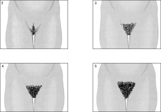 Иллюстрация к книге — Психология подросткового и юношеского возраста [autogen_ebook_id50.jpg]