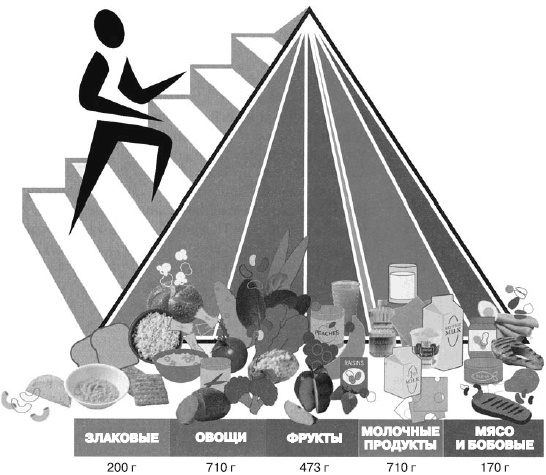 Иллюстрация к книге — Психология подросткового и юношеского возраста [autogen_ebook_id62.jpg]