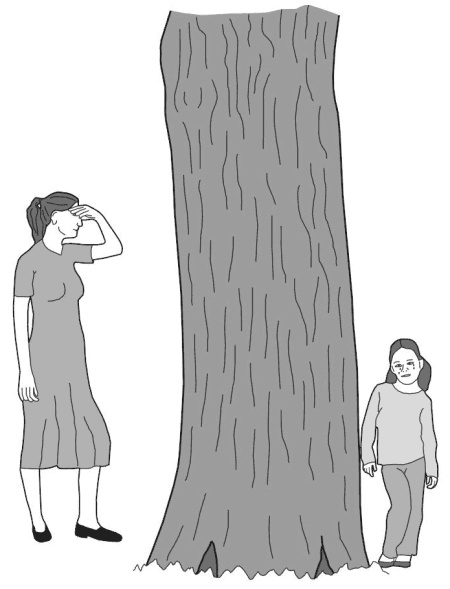 Иллюстрация к книге — Сквозь зеркало языка [i_011.jpg]