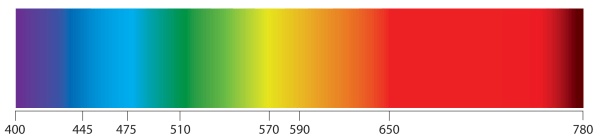 Иллюстрация к книге — Сквозь зеркало языка [i_035.jpg]