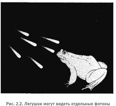 Иллюстрация к книге — Структура реальности. Наука параллельных вселенных [i_004.jpg]