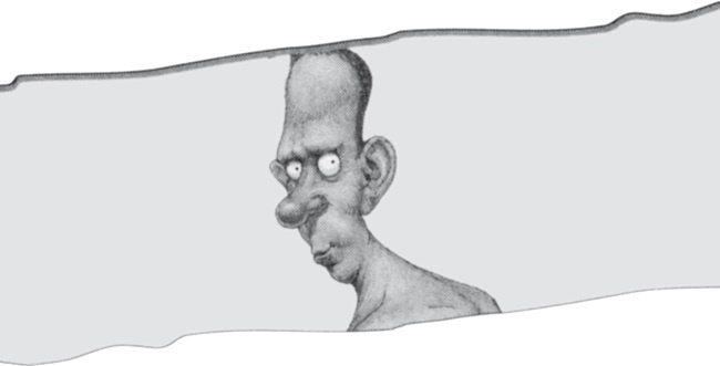 Иллюстрация к книге — История мозга. 1640 фактов [i_047.jpg]