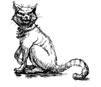 Иллюстрация к книге — История мозга. 1640 фактов [i_083.jpg]