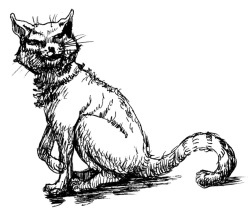 Иллюстрация к книге — История мозга. 1640 фактов [i_147.jpg]