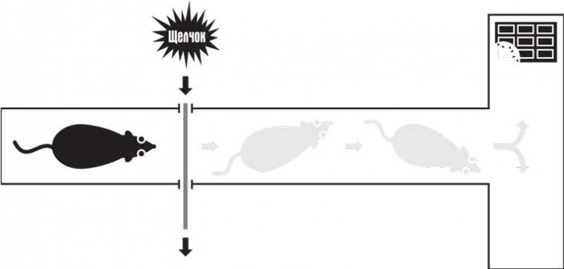 Иллюстрация к книге — Власть привычки. Почему мы живем и работаем именно так, а не иначе [i_001.jpg]