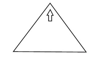 Иллюстрация к книге — Тайный идеал тамплиеров [i_096.jpg]