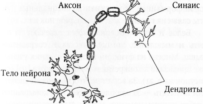 Иллюстрация к книге — Мозг онлайн. Человек в эпоху Интернета [i_001.jpg]