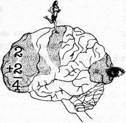 Иллюстрация к книге — Мозг онлайн. Человек в эпоху Интернета [i_006.jpg]
