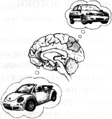 Иллюстрация к книге — Мозг онлайн. Человек в эпоху Интернета [i_014.jpg]