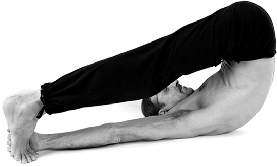 Иллюстрация к книге — Как развить способность безошибочно распознавать ложь и противостоять ей. Вся правда о лжи [i_028.jpg]