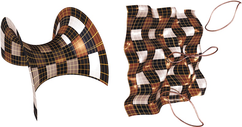 Иллюстрация к книге — На плечах гигантов [i_114.jpg]