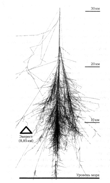 Иллюстрация к книге — Леденящие звезды. Новая теория глобальных изменений климата [i_004.jpg]