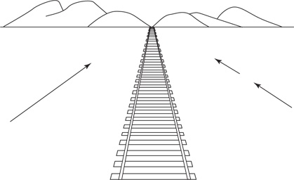Иллюстрация к книге — Психология. Люди, концепции, эксперименты [i_007.jpg]