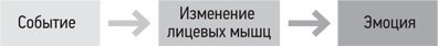Иллюстрация к книге — Психология. Люди, концепции, эксперименты [i_031.jpg]