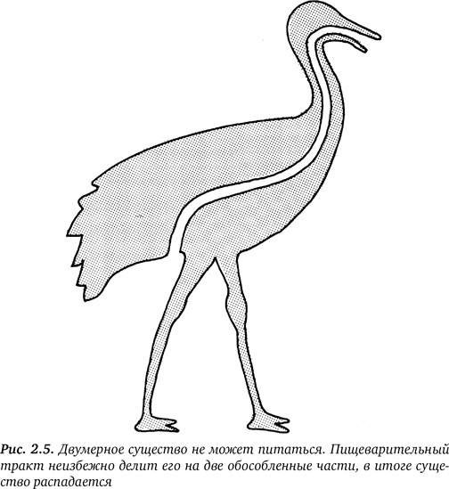 Иллюстрация к книге — Гиперпространство. Научная одиссея через параллельные миры, дыры во времени и десятое измерение [i_007.jpg]