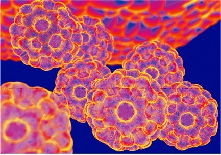 Иллюстрация к книге — Высший замысел [i_019.jpg]