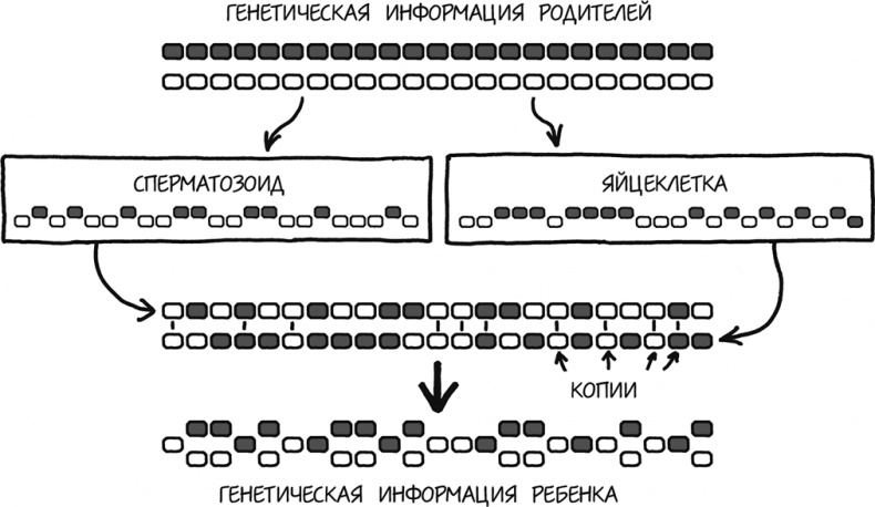 Иллюстрация к книге — А что, если?.. Научные ответы на абсурдные гипотетические вопросы [i_216.jpg]