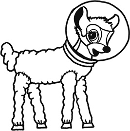 Иллюстрация к книге — А что, если?.. Научные ответы на абсурдные гипотетические вопросы [i_325.jpg]