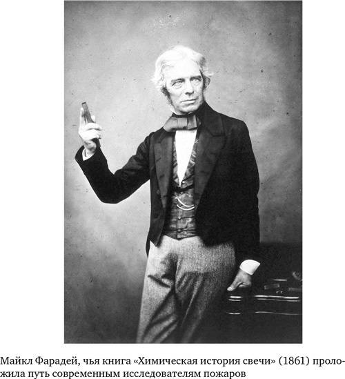 Иллюстрация к книге — Анатомия преступления. Что могут рассказать насекомые, отпечатки пальцев и ДНК [i_004.jpg]