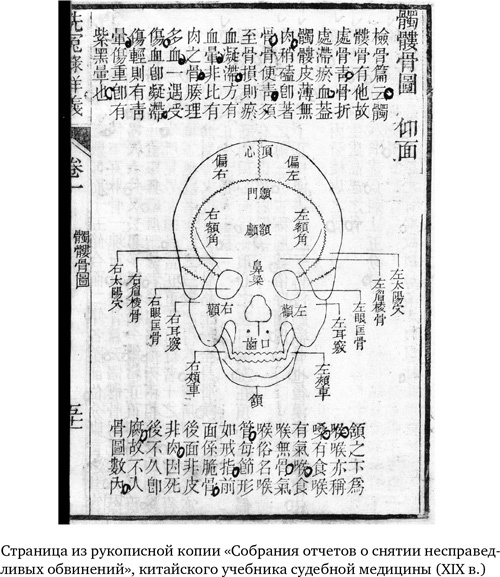 Иллюстрация к книге — Анатомия преступления. Что могут рассказать насекомые, отпечатки пальцев и ДНК [i_007.jpg]