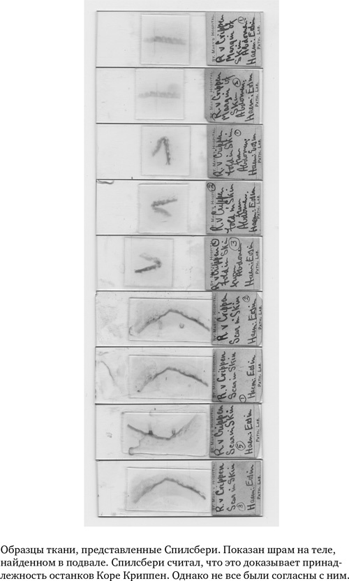 Иллюстрация к книге — Анатомия преступления. Что могут рассказать насекомые, отпечатки пальцев и ДНК [i_011.jpg]