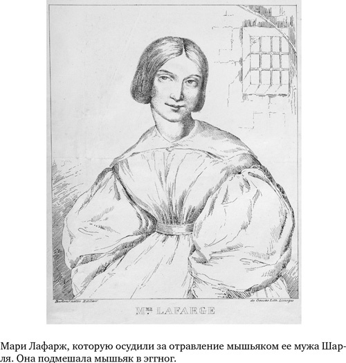 Иллюстрация к книге — Анатомия преступления. Что могут рассказать насекомые, отпечатки пальцев и ДНК [i_014.jpg]