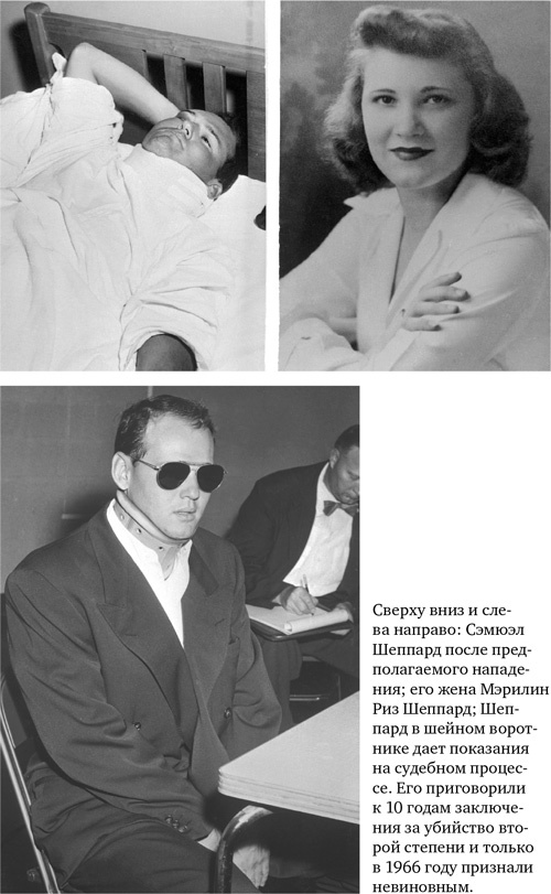 Иллюстрация к книге — Анатомия преступления. Что могут рассказать насекомые, отпечатки пальцев и ДНК [i_023.jpg]