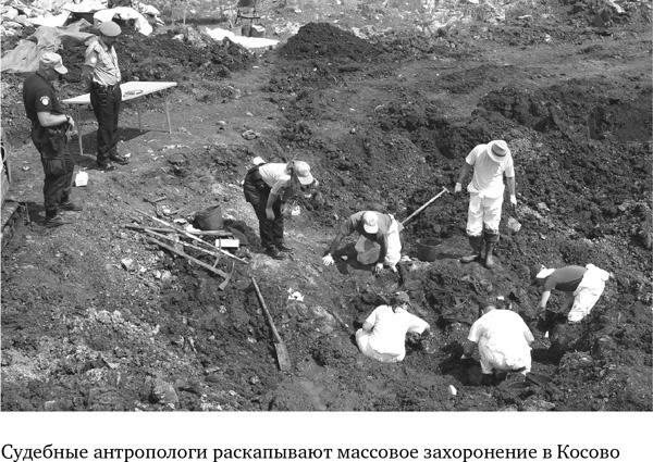 Иллюстрация к книге — Анатомия преступления. Что могут рассказать насекомые, отпечатки пальцев и ДНК [i_026.jpg]