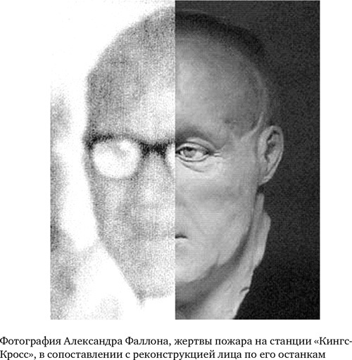 Иллюстрация к книге — Анатомия преступления. Что могут рассказать насекомые, отпечатки пальцев и ДНК [i_030.jpg]