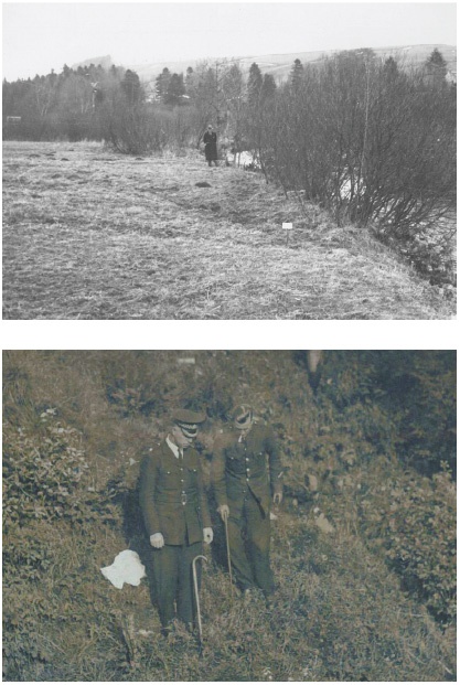 Иллюстрация к книге — Анатомия преступления. Что могут рассказать насекомые, отпечатки пальцев и ДНК [i_042.jpg]