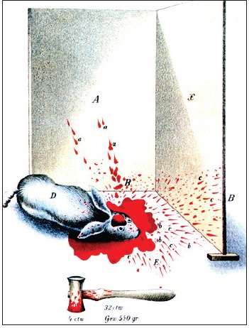 Иллюстрация к книге — Анатомия преступления. Что могут рассказать насекомые, отпечатки пальцев и ДНК [i_045.jpg]