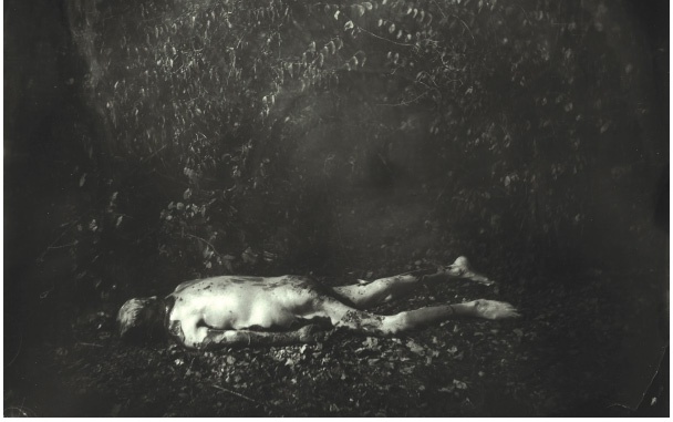 Иллюстрация к книге — Анатомия преступления. Что могут рассказать насекомые, отпечатки пальцев и ДНК [i_046.jpg]