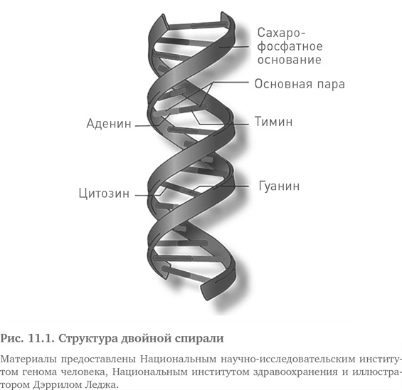 Иллюстрация к книге — Игра случая. Математика и мифология совпадения [i_031.jpg]