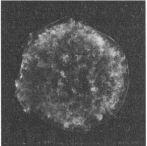 Иллюстрация к книге — Лаплас. Небесная механика [img_30.jpg]