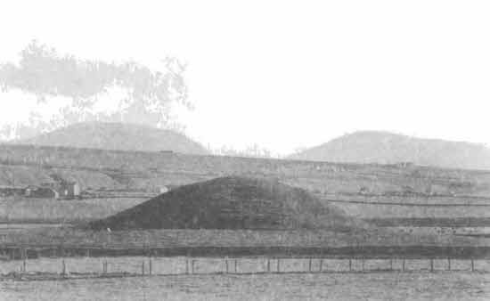 Иллюстрация к книге — Машина Уриила [i_060.jpg]