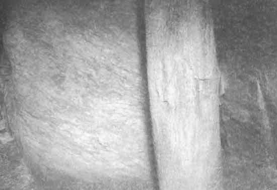 Иллюстрация к книге — Машина Уриила [i_069.jpg]