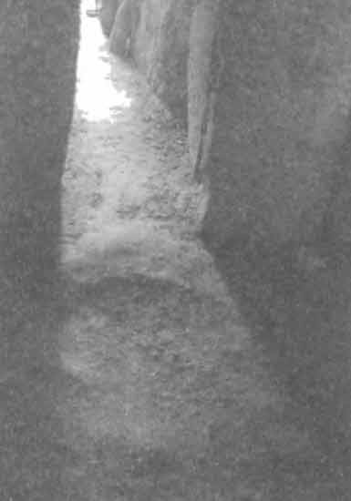 Иллюстрация к книге — Машина Уриила [i_071.jpg]