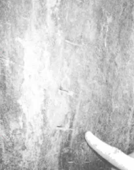 Иллюстрация к книге — Машина Уриила [i_074.jpg]