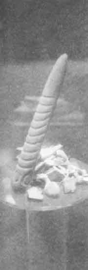 Иллюстрация к книге — Машина Уриила [i_077.jpg]