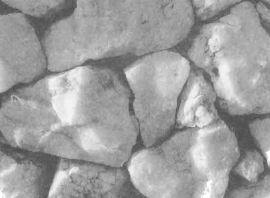 Иллюстрация к книге — Машина Уриила [i_083.jpg]