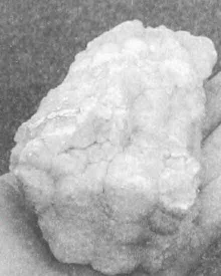 Иллюстрация к книге — Машина Уриила [i_085.jpg]