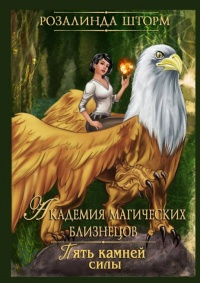 Книга Академия магических близнецов. Пять камней силы