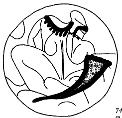 Иллюстрация к книге — Вино в потоке образов. Эстетика древнегреческого пира [pic_75.jpg]