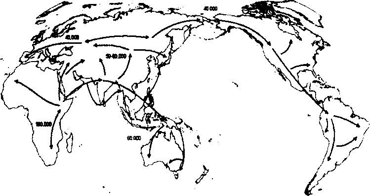 Иллюстрация к книге — Расовые различия в интеллекте. Эволюционный анализ [_63.jpg]