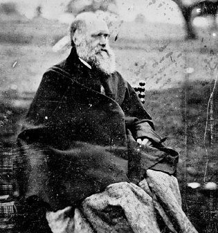 Иллюстрация к книге — От Дарвина до Эйнштейна. Величайшие ошибки гениальных ученых, которые изменили наше понимание жизни и вселенной [i_001.jpg]