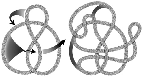 Иллюстрация к книге — Был ли Бог математиком? Галопом по божественной Вселенной с калькулятором, штангенциркулем и таблицами Брадиса [i_061.jpg]