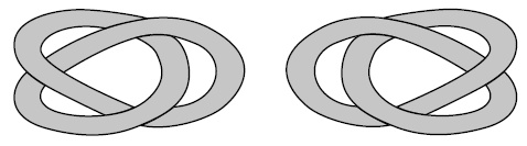 Иллюстрация к книге — Был ли Бог математиком? Галопом по божественной Вселенной с калькулятором, штангенциркулем и таблицами Брадиса [i_063.jpg]