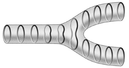 Иллюстрация к книге — Был ли Бог математиком? Галопом по божественной Вселенной с калькулятором, штангенциркулем и таблицами Брадиса [i_066.jpg]